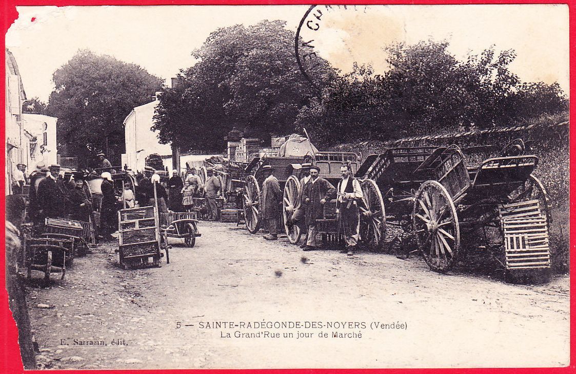 Sainte-Radégonde-des-Noyers : présentation de la commune