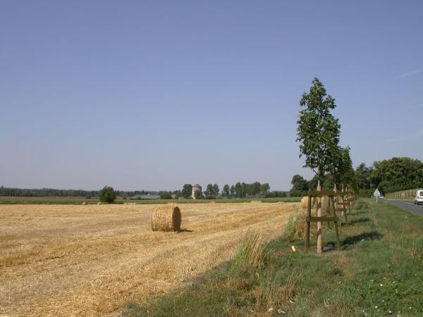 Luché-Pringé : présentation de la commune