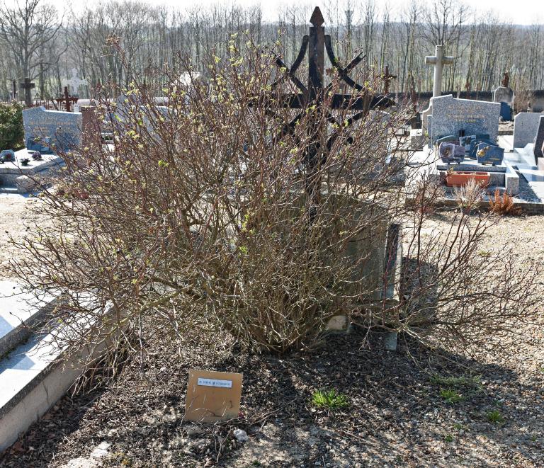 Cimetière à Beaumont-Pied-de-Bœuf