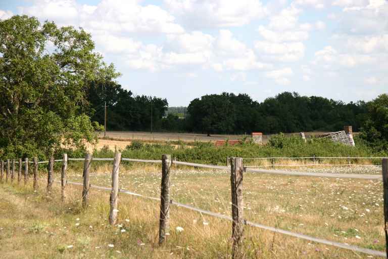 Savigné-sous-le-Lude : présentation de la commune