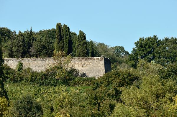 Maison de maître puis château de la Roche-aux-Moines