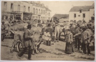 Le marché aux bœufs sur l'actuelle place du Marché-au-Bois. Carte postale. 1er quart XXe siècle.