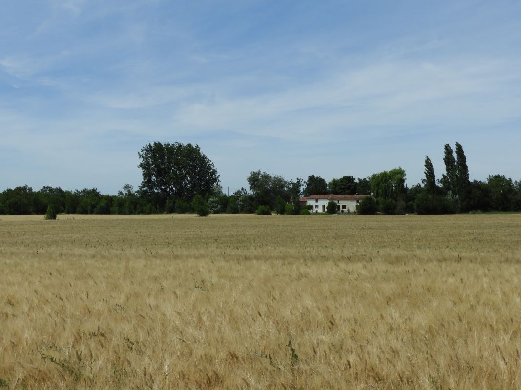 Ferme dite la Barbitterie, actuellement maison ; les Marais Bas