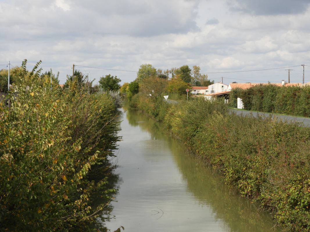 Canal de Vienne