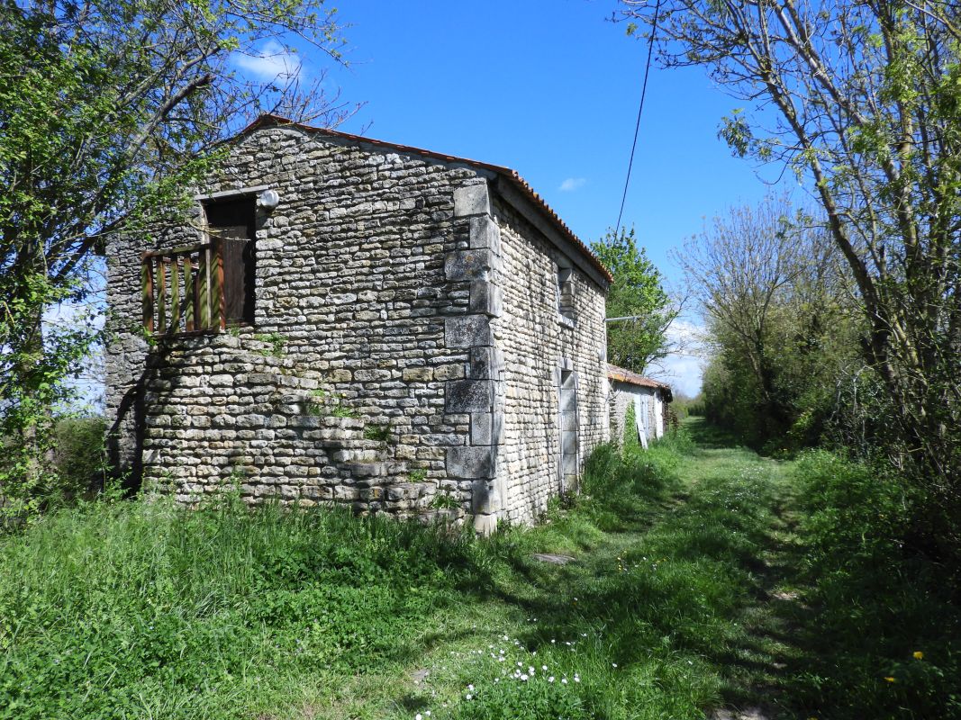 Maison ou hutte ; Grande levée de Vix