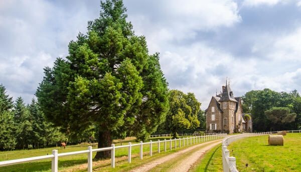 Demeure dite château