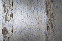 peinture monumentale : décor végétal