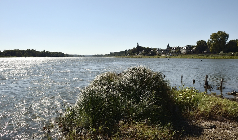 La confluence Maine-Loire depuis la pointe de l'île Chevrière.