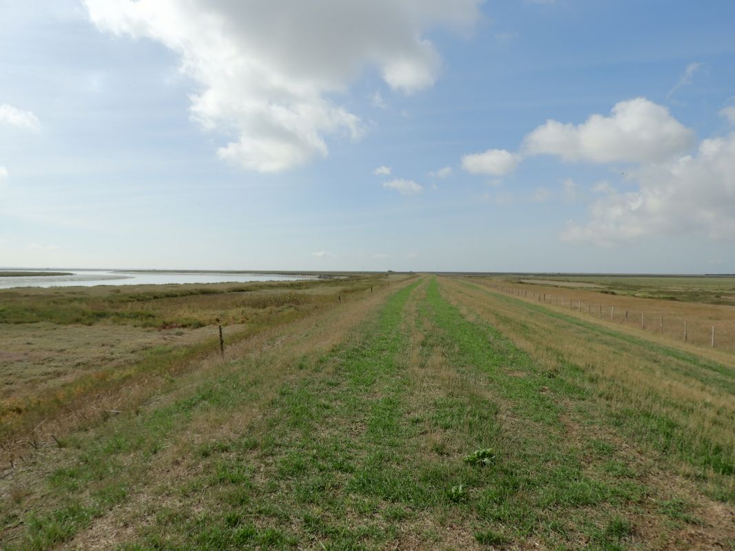 Digue du Nouveau marais desséché de Champagné