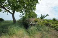 Dolmen de Pierrelée, Montsoreau