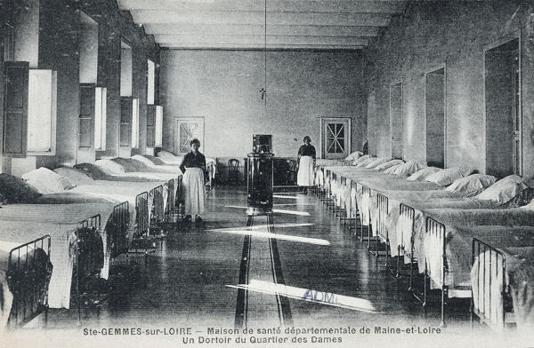 Château de Sainte-Gemmes, puis asile d'aliénés actuellement hôpital psychiatrique dit Centre de Santé Mental Angevin (CESAME)
