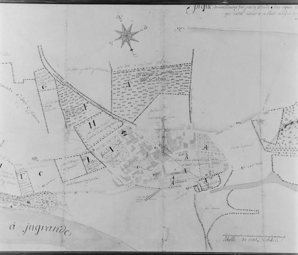Montjean-sur-Loire : présentation de la commune