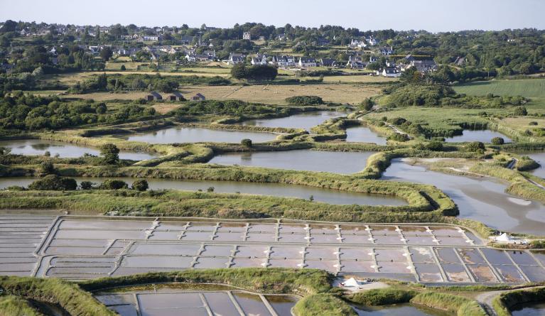 Guérande : présentation de la commune et de l'aire d'étude