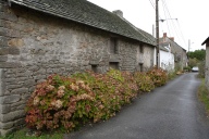 Rangée de maisons, le Petit-Bois