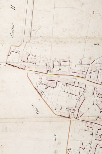 Analyse de l'évolution de la ville de Luçon