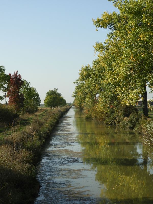 Canal du Clain