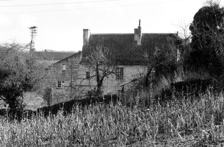 Maison, 29 rue Saint-Jean-de-l'Habit, Fontevraud-l'Abbaye