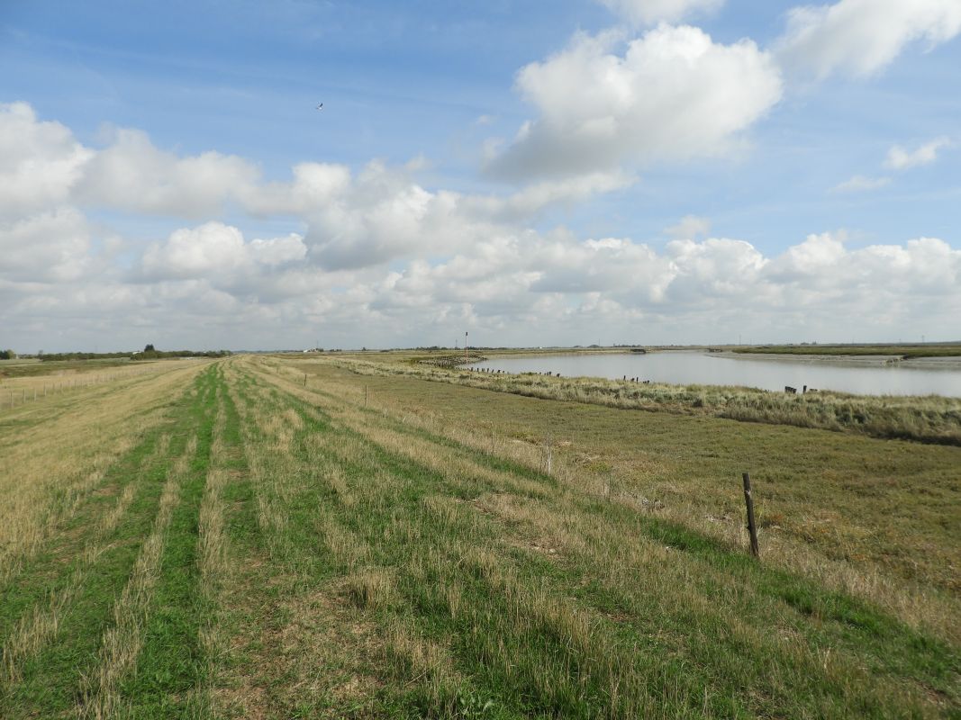 Digue du Nouveau marais desséché de Champagné