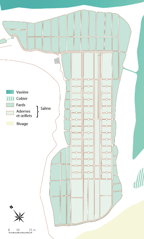 Marais salants de Guérande