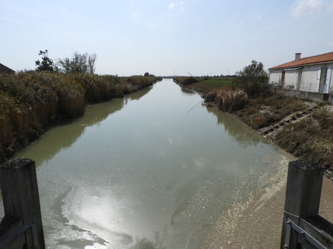 Porte du canal du Clain ou des Grands Greniers, maison de garde