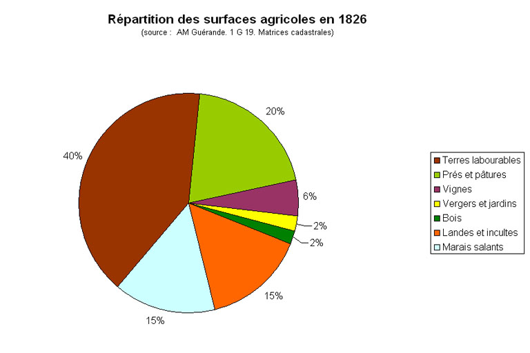 Guérande : présentation de la commune et de l'aire d'étude