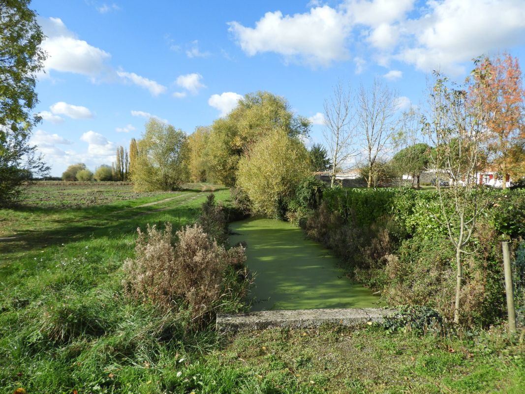 Sainte-Radégonde-des-Noyers : présentation de la commune