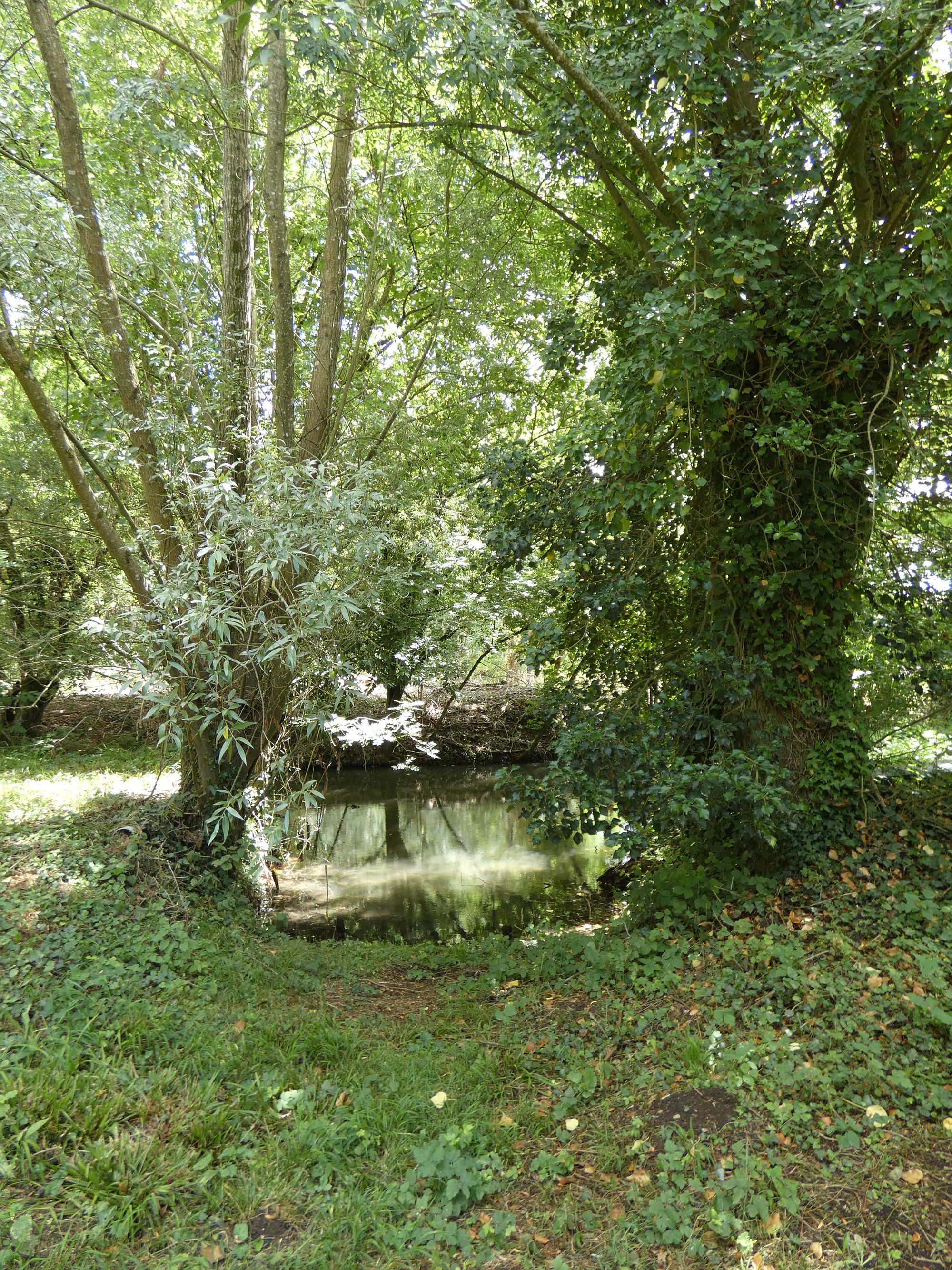 Atelier de charpentier de bateaux, 15 rue Basse