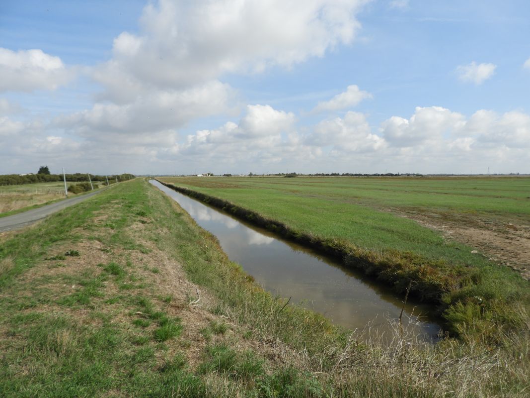 Digue du Nouveau marais desséché de Champagné