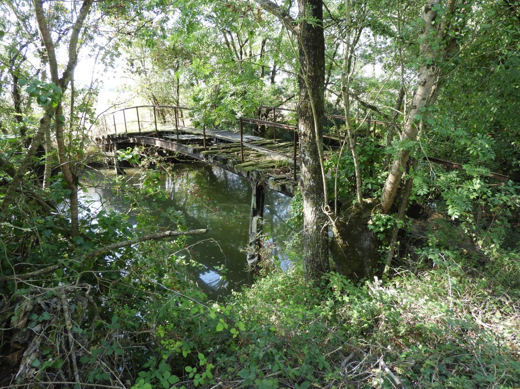 Passerelle ; Grande levée de Vix