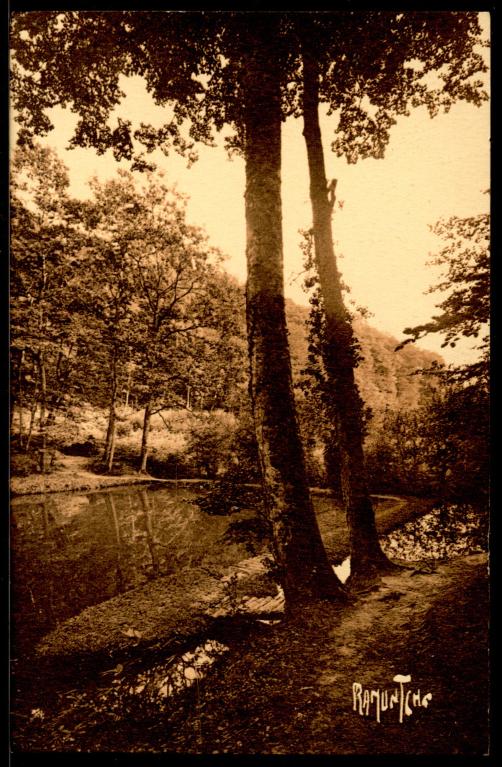 La Forêt de Bercé : présentation de l'aire d'étude