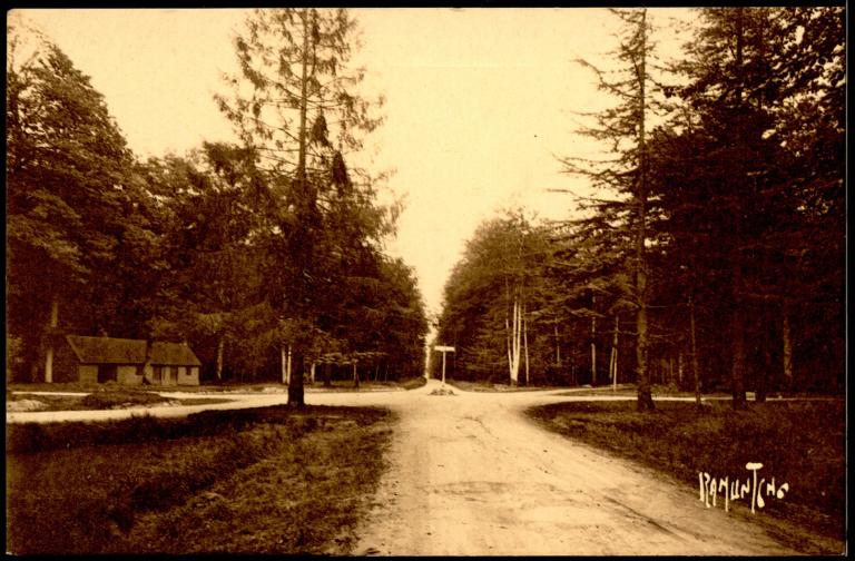 La Forêt de Bercé : présentation de l'aire d'étude