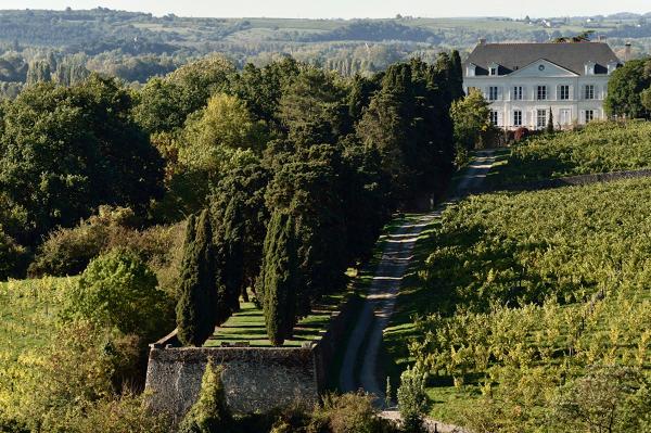 Maison de maître puis château de la Roche-aux-Moines