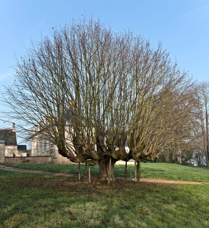 Maison de maître dite la Grande Maison, puis le Petit Poirier