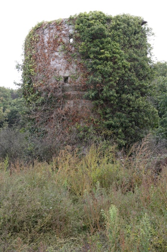 Moulin à farine dit Moulin de Cardinal