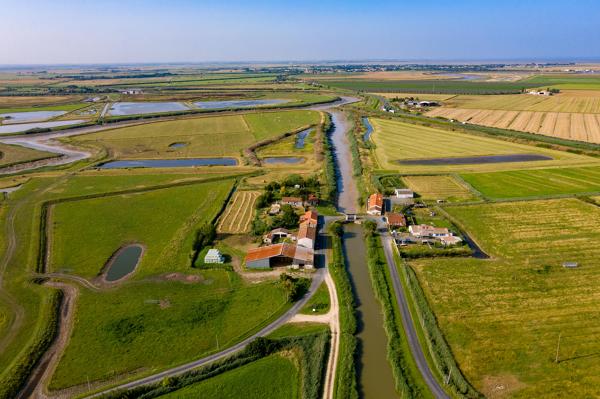 Vallée de la Sèvre Niortaise dans le Marais poitevin