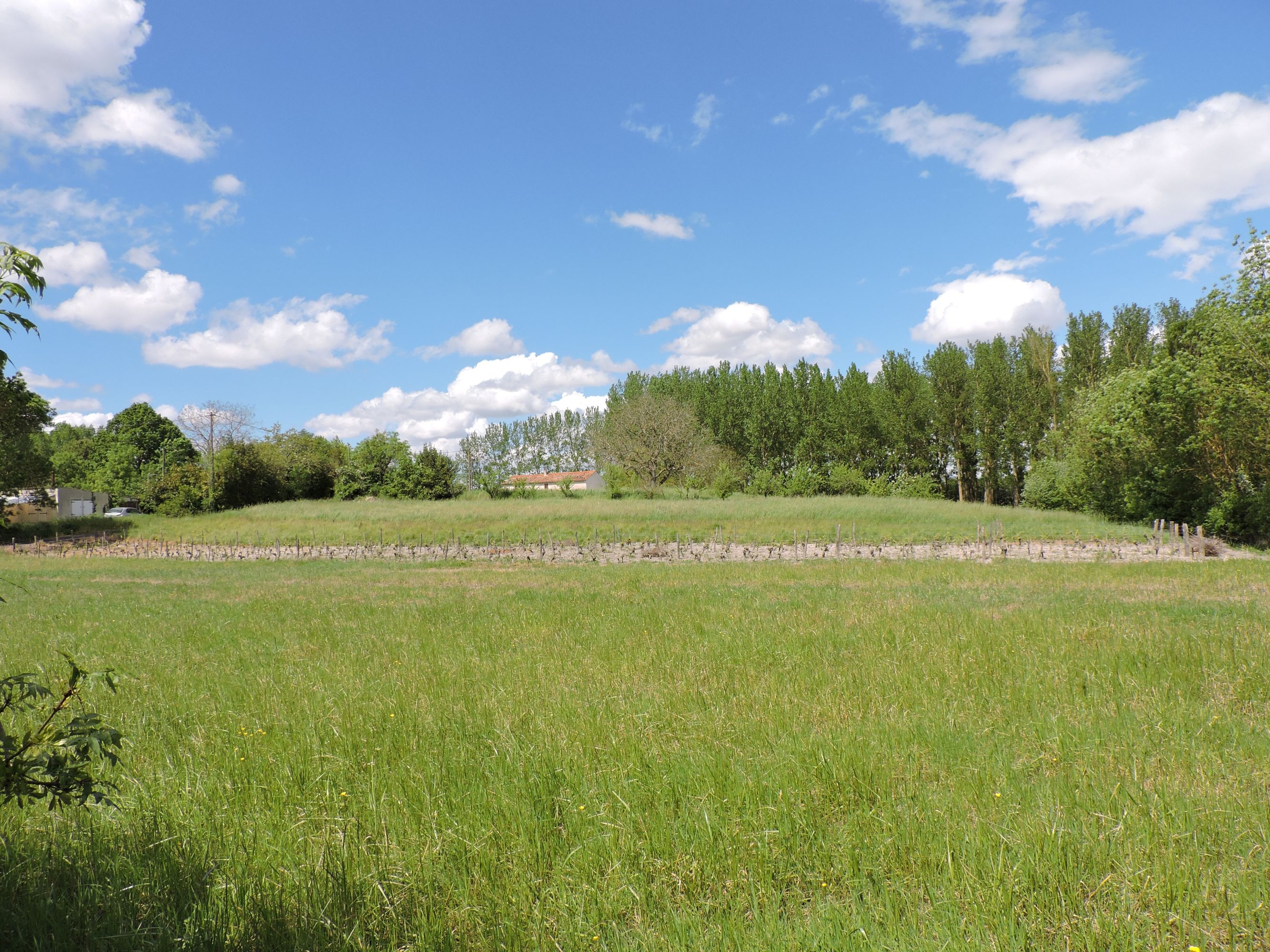 Fort du Dognon (disparu), actuellement hameau du Dognon