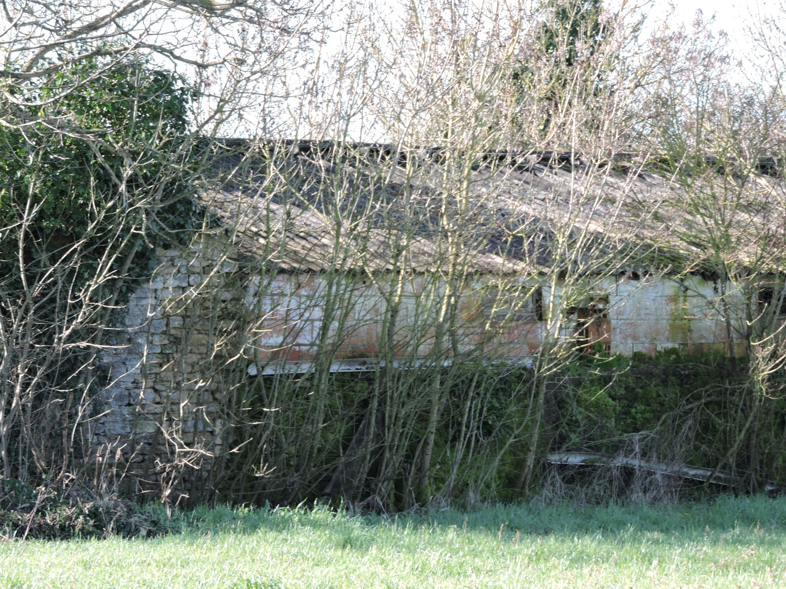 Porcherie industrielle (vestiges) ; rue de la Fraignaie