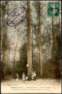 Forêt de Bercey. Le chêne Boppe. Hauteur de la base à la 1ère branche : 20 m. Carte écrite en 1908.