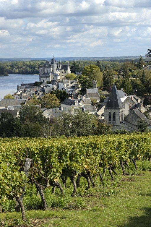 Montsoreau : présentation de la commune