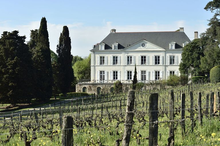 Maison de maître puis château de la Roche-aux-Moines