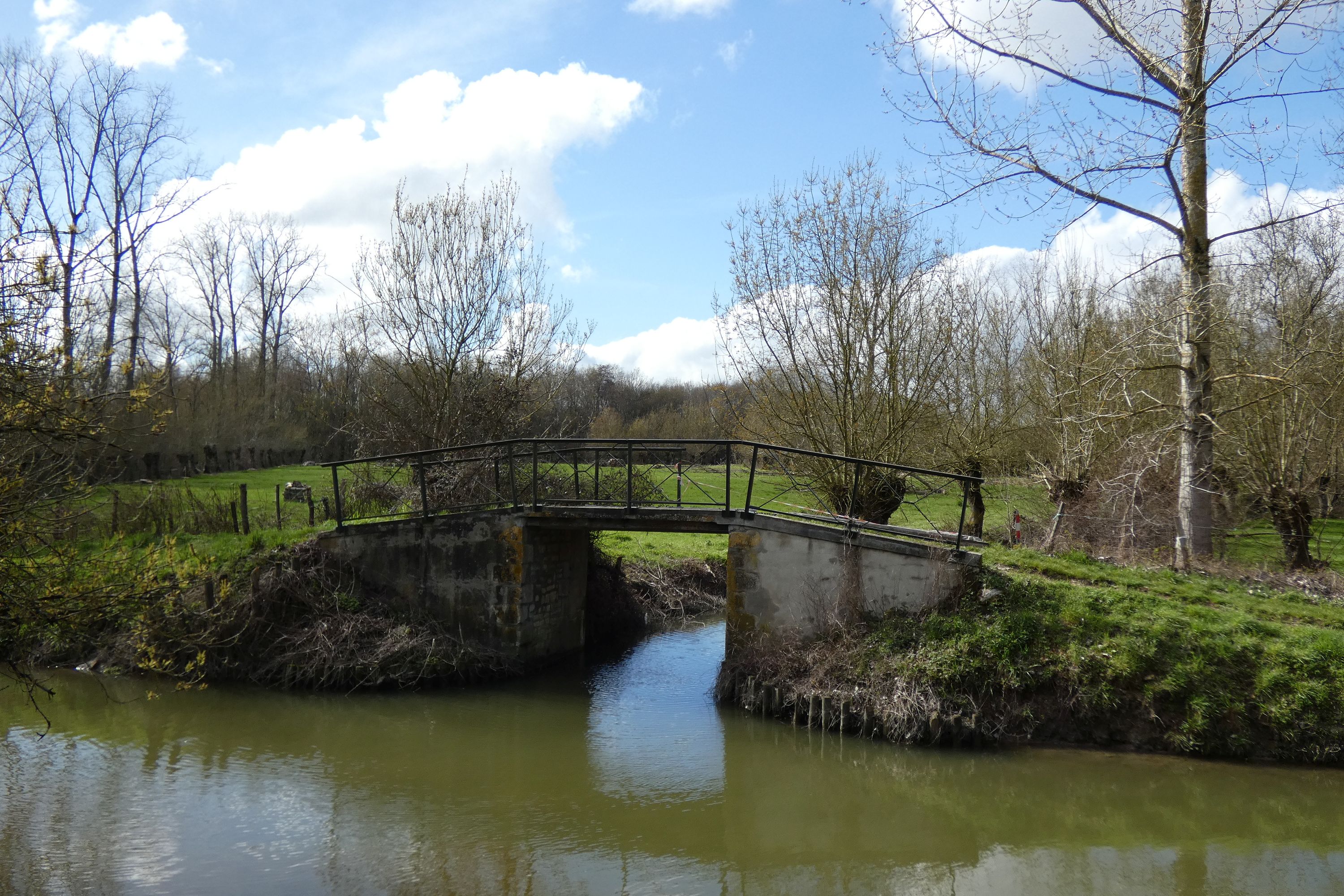 Canal de la Vieille Autise