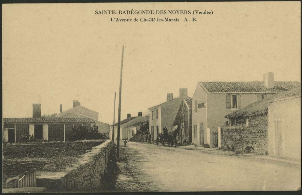 Sainte-Radégonde-des-Noyers : présentation de la commune