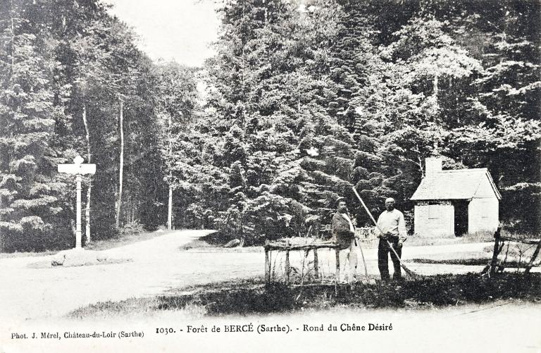 La Forêt de Bercé : présentation de l'aire d'étude