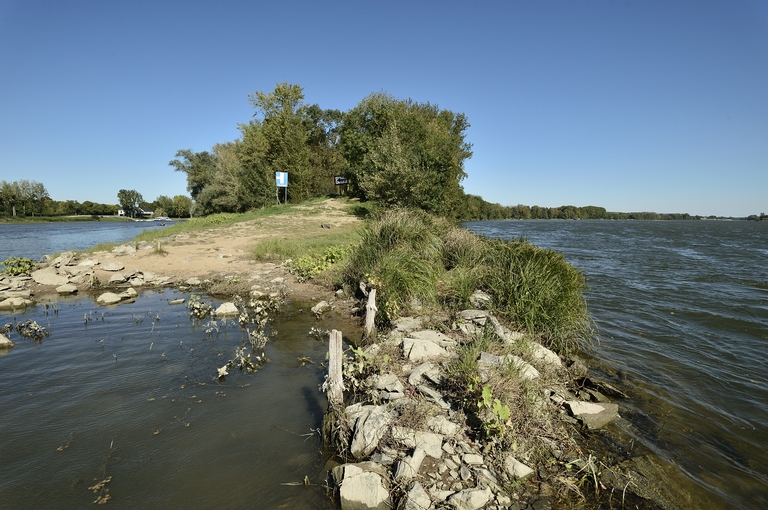 Confluence Maine-Loire : présentation de l'aire d'étude