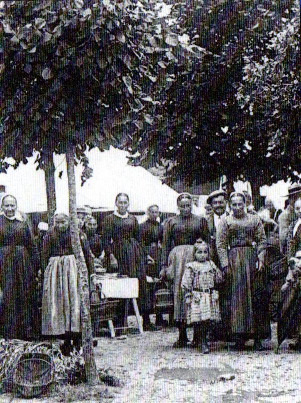 Sainte-Radégonde-des-Noyers : présentation de la commune