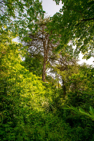 Parc (vestiges) de la Pescherie