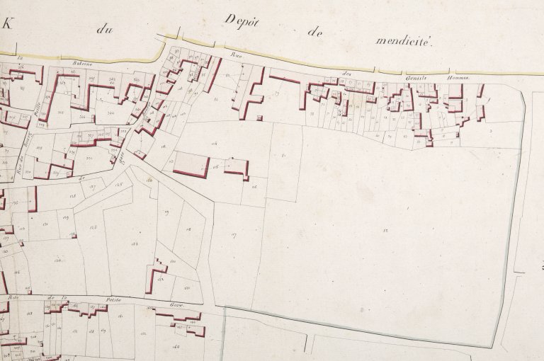 Analyse de l'évolution de la ville de Luçon