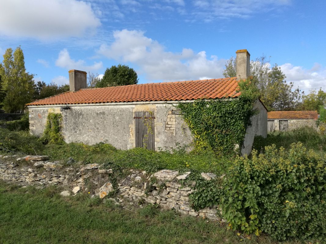 Maisons, fermes : l'habitat à Sainte-Radégonde-des-Noyers