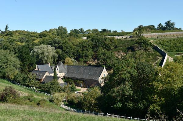 Manoir, puis ferme de la Coulée-de-Serrant