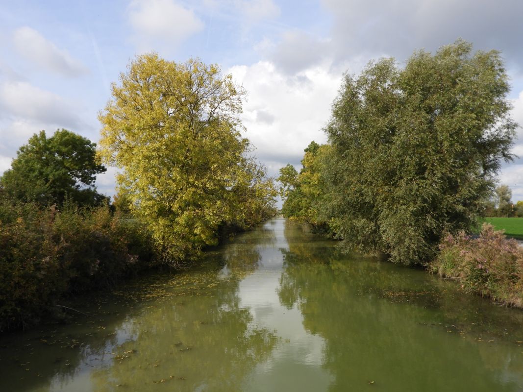 Canal de Vienne